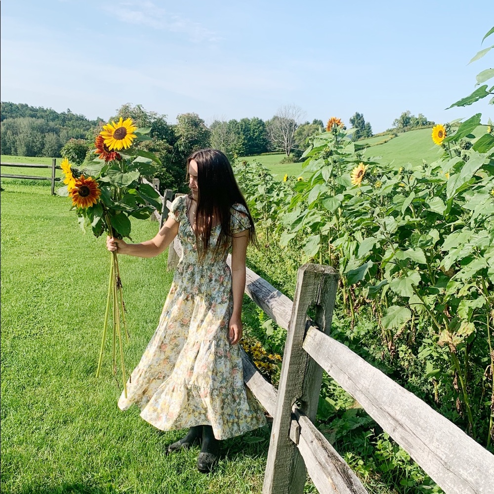 Danielle Bernstein Floral Poplin Dress